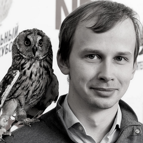 Портрет человека